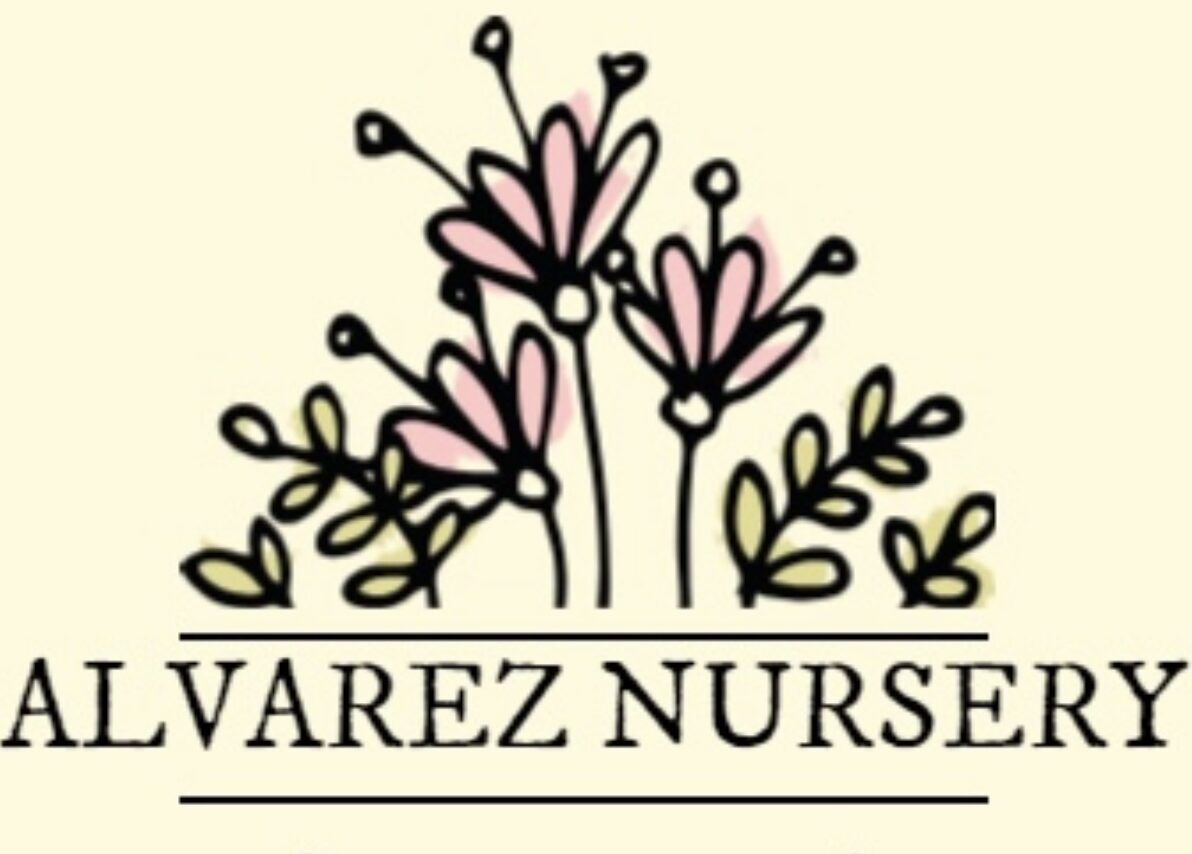 AlvarezNursery